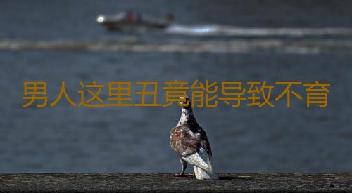 男人这里丑竟能导致不育