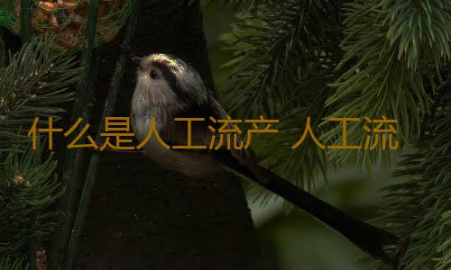 什么是人工流产 人工流产后的注意事项有什么？