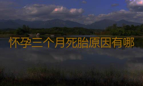 怀孕三个月死胎原因有哪些