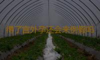 得了宫外孕还会来例假吗