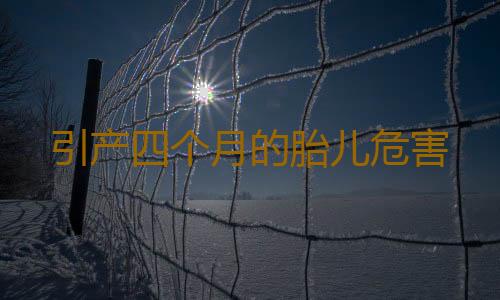 引产四个月的胎儿危害