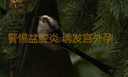 警惕盆腔炎 诱发宫外孕