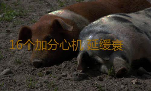 16个加分心机 延缓衰老维持年轻态