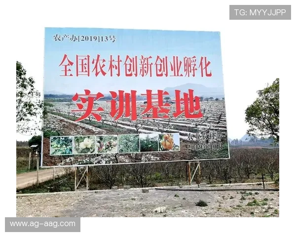 J9九游会·集团官网:九游会官方平台的客户服务体系与常见问题解答指南 J9九游会·集团官网:九游会官方平台的客户服务体系与常见问题解答指南